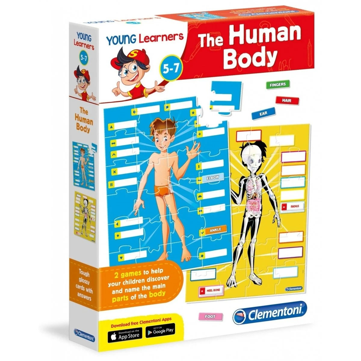 Young Learners: Human Body