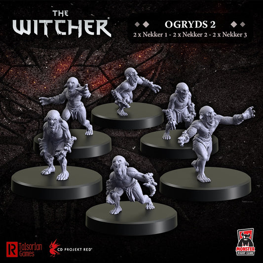 Witcher: Ogryds 2