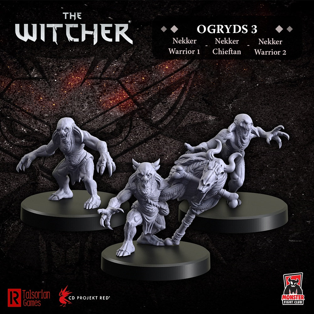 Witcher: Ogryds 3