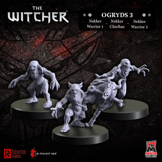 Witcher: Ogryds 3
