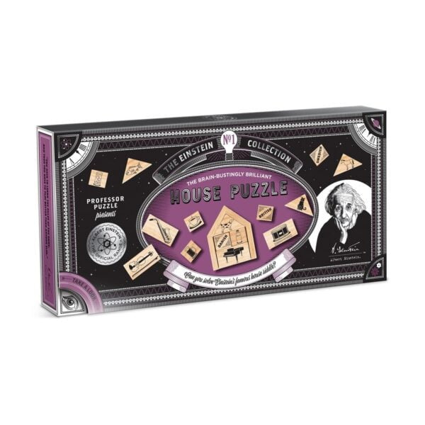 Albert Einstein's: House Riddle